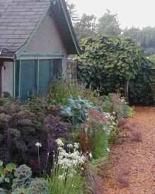 Helpful Tips for Site Assessment Image